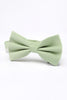 Load image into Gallery viewer, Light Green Men&#39;s 3-Piece Accessory Set (Bow Tie, Pocket Square, Pin)