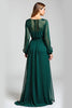 Load image into Gallery viewer, Illusion Neck Pine Sheath Embroideried Mother of the Bride Dress with Long Sleeves