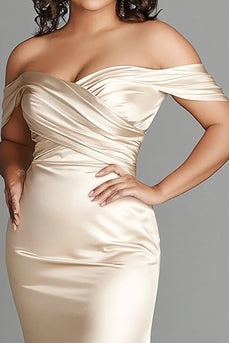 Satin Champagne Sheath Plus Size Long Mother of the Bride Dress