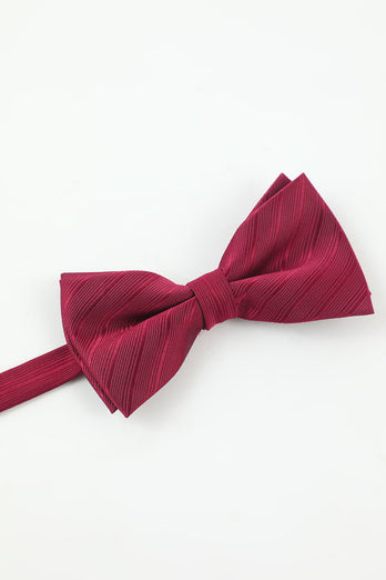 Burgundy Men's 5-Piece Accessory Set Tie and Bow Tie Pocket Square Flower Lapel Pin Tie Clip