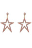 Load image into Gallery viewer, Five-Pointed Star Beaded Earrings