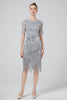 Load image into Gallery viewer, Blush Bodycon Sequins 1920s Dress with Fringes