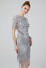 Load image into Gallery viewer, Blush Bodycon Sequins 1920s Dress with Fringes