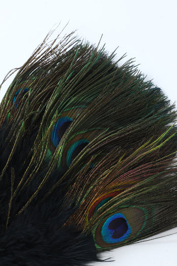 1920s Accessory Peacock Feather Fan